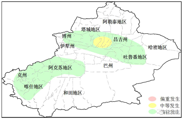 主要发生区域在喀什,塔城,博州,昌吉州,其中昌吉州玛纳斯县局部棉区图片